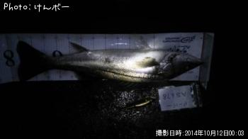 �����Х�