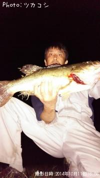 �֥�å��Х�