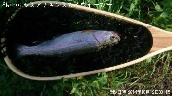 ¥ì¥¤¥ó¥Ü¡¼¥È¥é¥¦¥È