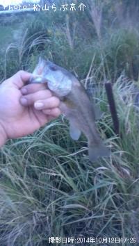 ¥Ö¥é¥Ã¥¯¥Ð¥¹