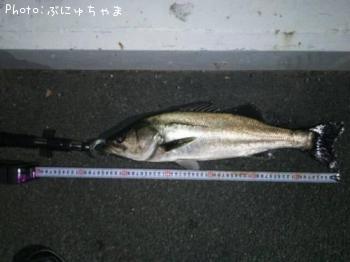 �����Х�