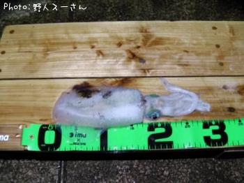 ¥¢¥ª¥ê¥¤¥«