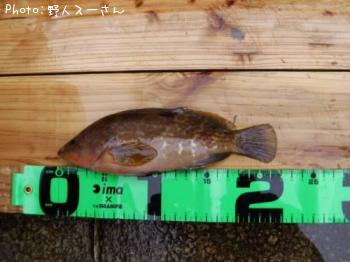 �����ϥ�