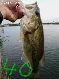 �֥�å��Х�