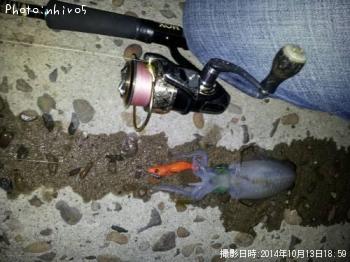 �����ꥤ��