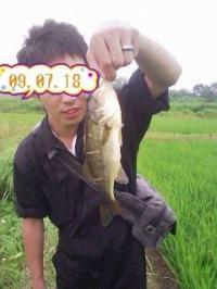 �֥�å��Х�