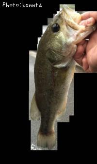 ¥Ö¥é¥Ã¥¯¥Ð¥¹