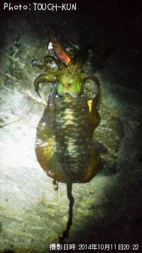 �����ꥤ��