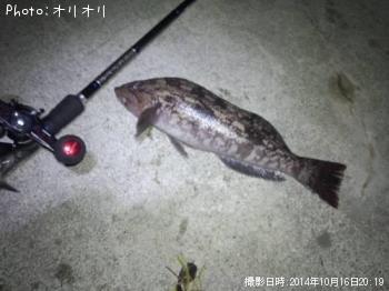 �����ʥ�