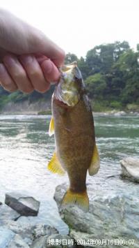 ���⡼��ޥ����Х�