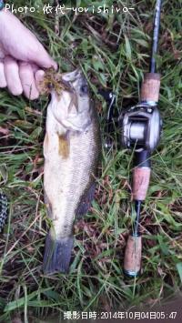 ¥Ö¥é¥Ã¥¯¥Ð¥¹