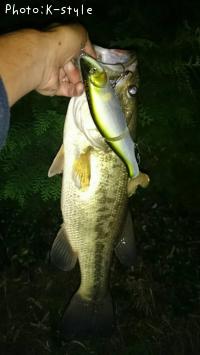 �֥�å��Х���