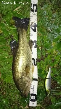 �֥�å��Х���