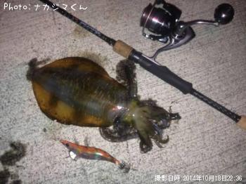 �����ꥤ��