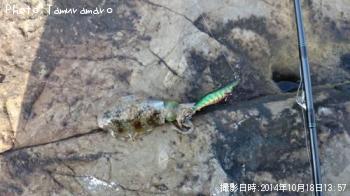 ¥¢¥ª¥ê¥¤¥«