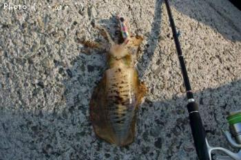 �ߥ�����