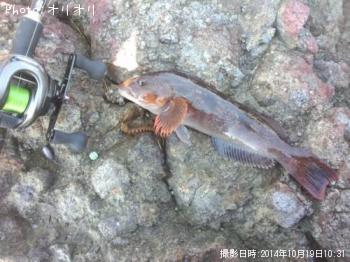 �����ʥ�