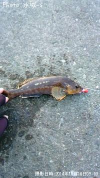 �ߥˡ������ʥ�