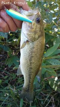 �֥�å��Х���