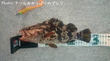 �����Υ���Х�