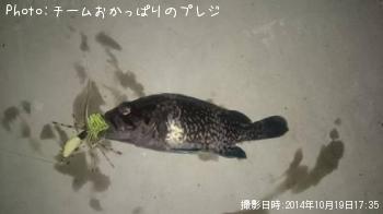 �����Υ���Х�