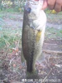 �֥�å��Х�