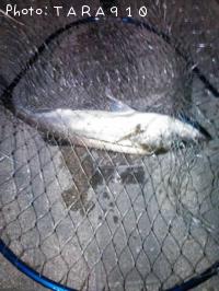 �����Х�