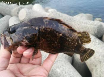 ¥¿¥±¥Î¥³¥á¥Ð¥ë