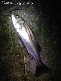 �����Х�