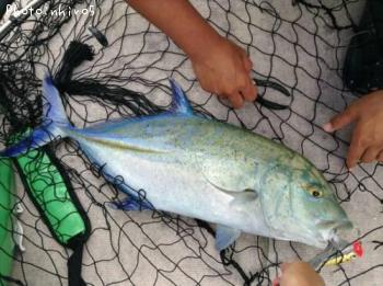 �����ߥ���