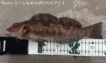 �����ʥ�