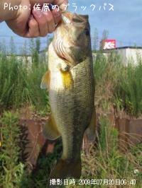 �֥�å��Х�