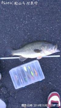 �֥�å��Х�