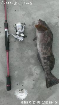 �����ʥ�