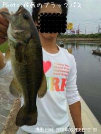 �֥�å��Х�