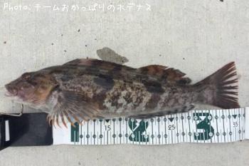 �����ʥ�