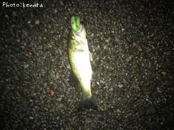 �֥�å��Х�