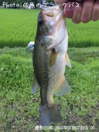 �֥�å��Х�