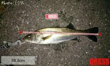 �����Х�