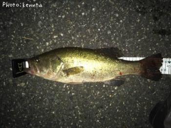 ¥Ö¥é¥Ã¥¯¥Ð¥¹