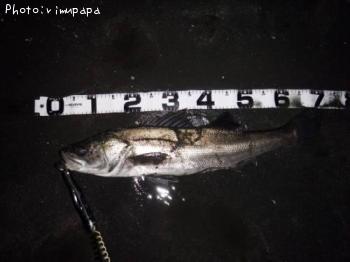 �����Х����ҥ��