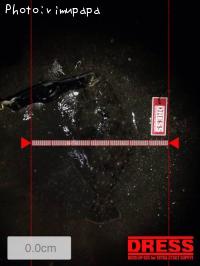 �����Х����ҥ��