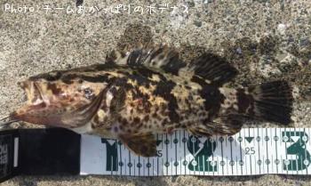 �����Υ���Х�