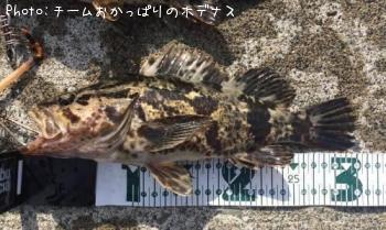 �����Υ���Х�