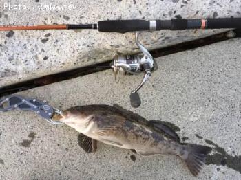 �����ʥ�