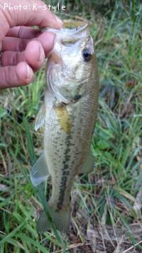 �֥�å��Х���