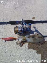 �����ꥤ��