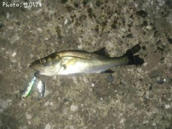 �����Х�