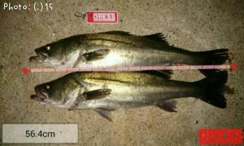 �����Х�