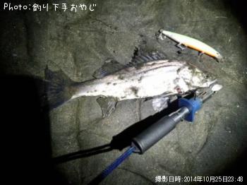 �����Х�